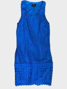 pleated hem mini shift dress laundry by shelli segal LAUNDRY By Shelli Segal Pleated Skirt Shift Dress